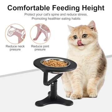 Raised Cat Bowls,Elevated Cat Bowls for Indoor Cats with Height-Adjustable Stand,Non-Slip Stainless Steel Cat Bowls,15° Tilted Cat Food Bowls (2-Pack, Black)