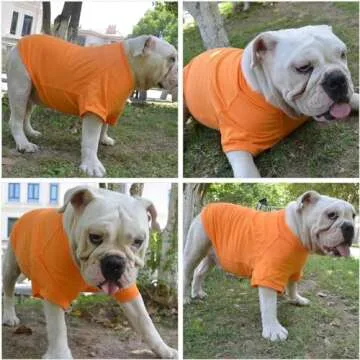Lovelonglong Bulldog Clothes Dog Clothing Blank T-Shirt Tee Shirts for French Bulldog English Bulldog American Pit Bull Pugs 100% Cotton Skin Care Orange B-XL