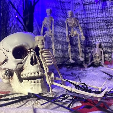 MUXIUNT 16 Pcs Halloween Mini Skeleton Figurine Decoration