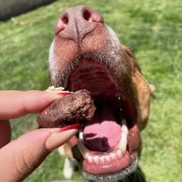 Green Butterfly Brands Freeze Dried Chicken Heart Dog Treats Made In USA. All Natural Freeze-Dried Raw Snacks for Dogs and Cats. One Ingredient. High Protein. Heart Health. Irresistible Training Treat