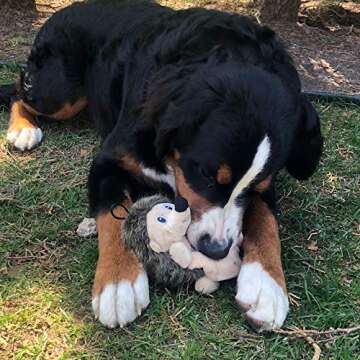 Snuggle Puppy Tender-Tuffs Crinkle - Small Tough Plush Stuffed Hedgehog Animal Dog Toy with Puncture Resistant Squeaker and Super Strong Seams