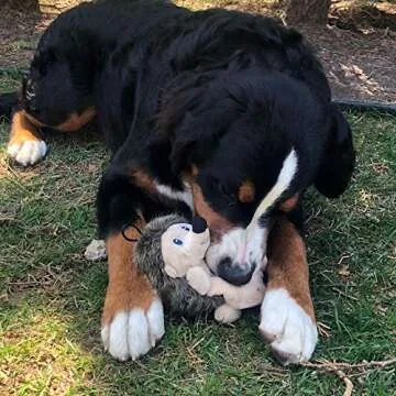 Snuggle Puppy Tender-Tuffs Crinkle - Small Tough Plush Stuffed Hedgehog Animal Dog Toy with Puncture Resistant Squeaker and Super Strong Seams