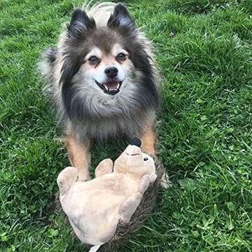 Snuggle Puppy Tender-Tuffs Crinkle - Small Tough Plush Stuffed Hedgehog Animal Dog Toy with Puncture Resistant Squeaker and Super Strong Seams