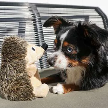 Snuggle Puppy Tender-Tuffs Crinkle - Small Tough Plush Stuffed Hedgehog Animal Dog Toy with Puncture Resistant Squeaker and Super Strong Seams