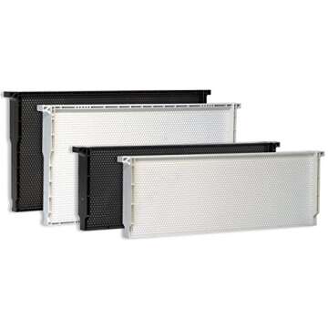 Acorn Bee medium plastic frame 10 pack (Black)