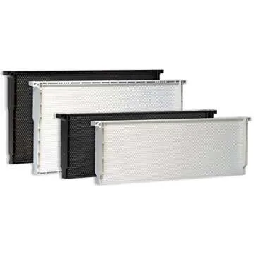 Acorn Bee medium plastic frame 10 pack (Black)