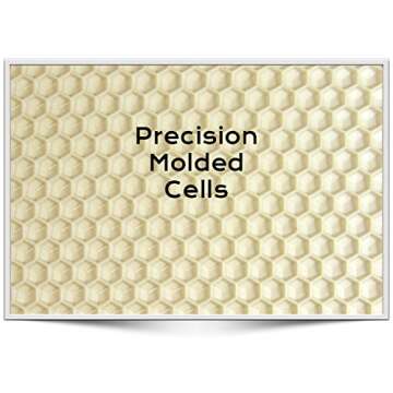 Acorn Bee medium plastic frame 10 pack (Black)