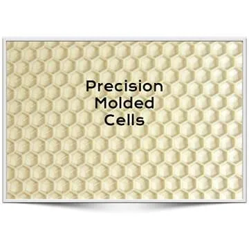 Acorn Bee medium plastic frame 10 pack (Black)