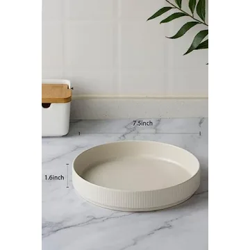 Famiware Star 7.5" Pasta Bowls Set of 4 Double Reactive Glaze