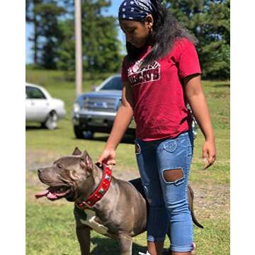 Bestia Eros Collar Red for Big Dogs. 2.5 inch Wide & Soft Padded