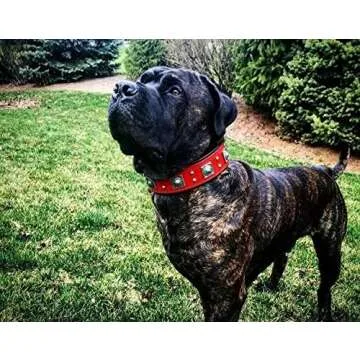 Bestia Eros Collar Red for Big Dogs. 2.5 inch Wide & Soft Padded