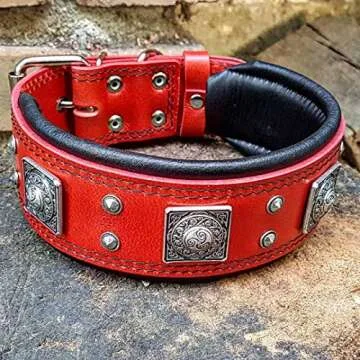 Bestia Eros Collar Red for Big Dogs. 2.5 inch Wide & Soft Padded