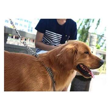 Berry Pet Dog Martingale Collar - Stylish Training for Large Breeds 24-28 Inches