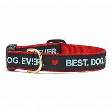 Up Country Best Dog Ever Collar (1" Width, Large (15"-21"))