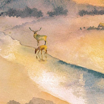 Discover Hinds' Feet on High Places: A Beautiful Journey