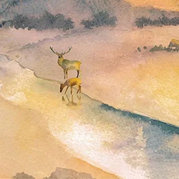 Discover Hinds' Feet on High Places: A Beautiful Journey