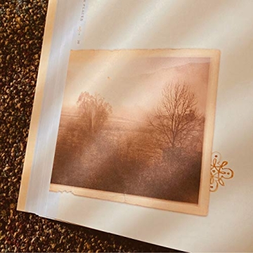 Discover Hinds' Feet on High Places: A Beautiful Journey