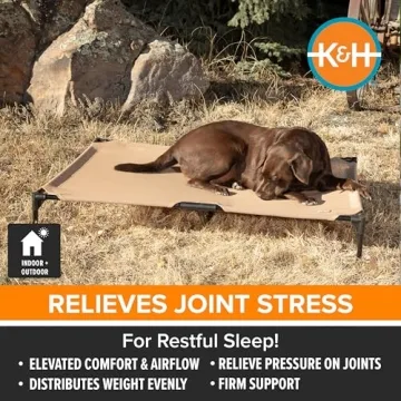 K&H Elevated Outdoor Dog Cot Bed for Medium Dogs