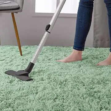 DweIke Sage Green 5x8 Shaggy Area Rug, Non-Slip Plush Decor