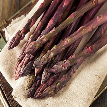 Purple Pacific Asparagus Plants - Fast Growing Garden Favorite