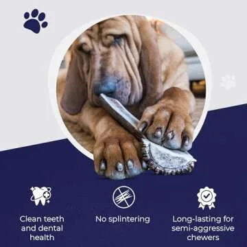 Premium Jumbo Split Elk Antlers for Aggressive Chewers