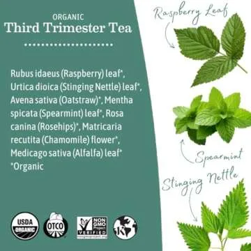 Earth Mama Organic Third Trimester Tea Bags | 100% USDA Organic Herbal Tea for Late Pregnancy Comfort + Childbirth Preparation, 16 Teabags Per Box (2-Pack)