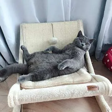 LUCKITTY Large Cat Hammock Sturdy Chair Cat Bed with Scratching Pad and Hang Ball Toys, Hanging Soft Pet Bed for Kitten Ferret Pubby,Self Warming Cat Bed Cushion