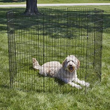 New World Dog Exercise Pen - Space & Safety for Pets