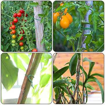 YDSL 100 Feet Soft Tie for Plants, Green Twist Garden Ties Gardening Supplies for Supporting Climbin...