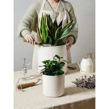 LE TAUCI 6+8+10 Inch Plant Pots Indoor, Ceramic Planter Pots for Plants, Raised Dots Flower Pots Ind...