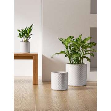 LE TAUCI 6+8+10 Inch Plant Pots Indoor, Ceramic Planter Pots for Plants, Raised Dots Flower Pots Indoor for Home and Office, Mid-Modern Century Pots with Drainage Hole and Plug, Glaze Arctic White
