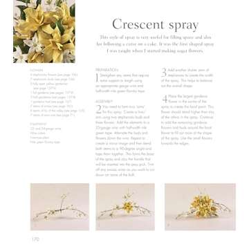 Alan Dunn's Ultimate Cake Decorating Collection Guide