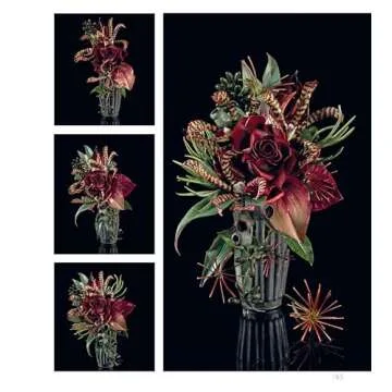 Alan Dunn's Ultimate Cake Decorating Collection Guide