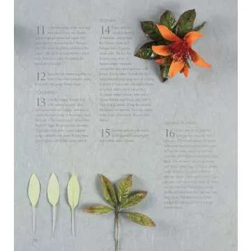 Alan Dunn's Ultimate Cake Decorating Collection Guide