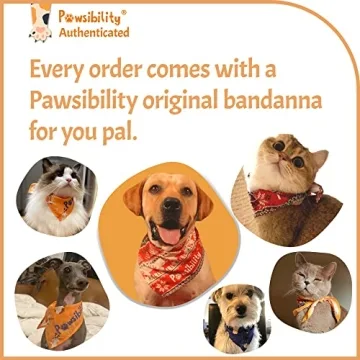 Pawsibility LED Nail Clippers - Safe Pet Grooming Tool