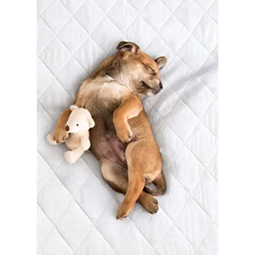 PharMeDoc Washable Bed Pads for Incontinence Protection