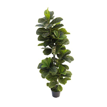 5-Feet Fiddle Leaf Fig Tree for Home and Office Decor