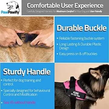 PawPawify Custom No Pull Dog Harness with Name and Phone Number, Heavy Duty Personalized Pet Vest to Prevent Tugging, Pulling, or Choking, Training and Walking (Red, XL (60-85 LBS))