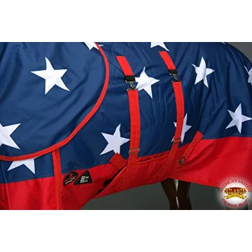 HILASON 1200D Waterproof Winter Horse Blanket Neck Cover Belly Wrap | Turnout Blankets for Horses