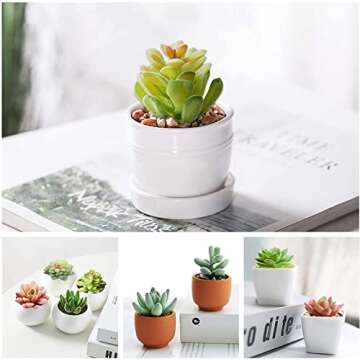HappyHapi 12 Pcs Artificial Succulents Mini Fake Plants Unpotted Faux Succulent for Craft, Small Plastic Succulents Assortment in Flocked Green Floral Decor for Party, Cake, Garden & Outdoor
