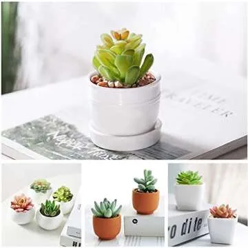 HappyHapi 12 Pcs Artificial Succulents Mini Fake Plants Unpotted Faux Succulent for Craft, Small Plastic Succulents Assortment in Flocked Green Floral Decor for Party, Cake, Garden & Outdoor