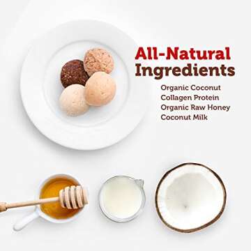 Paleo Angel Power Balls Healthy Paleo Approved Gluten Free Protein Snack Bars (Variety 4-Pack)