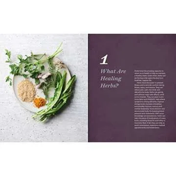 Healing Power of Herbs for Common Ailments