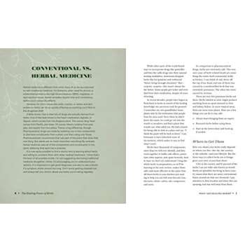 Healing Power of Herbs for Common Ailments