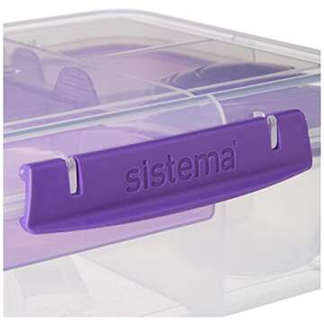 Sistema Bento Box Adult Lunch Box with 2 Compartments, Sandwhich,Salad Dressing Container,Dishwasher Safe,Color May Vary