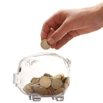 Delightful Educational Kids Clear Plastic Piggy Bank