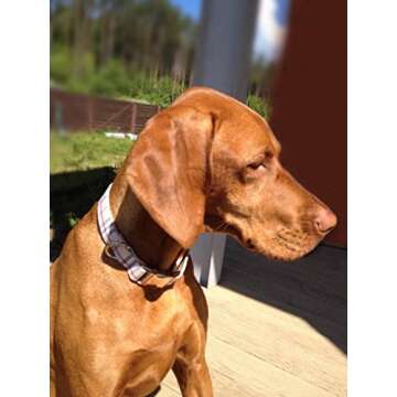 Rantow Nylon Pet Dog Leash Collar Set, S Collar + S Leash for Dog Walking Training, Classic Scottish...