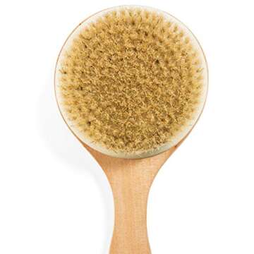 GranNaturals Long Handle Dry Brushing Body Exfoliating Brush - 16 Inch - Natural Bristle Anti Cellulite Massager Treatment Body Scrub Skin Exfoliator - Back, Foot, Legs, Body Scrubber