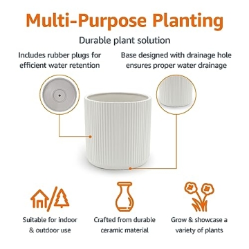 Amazon Basics Stylish 8-Inch Fluted Ceramic Planter