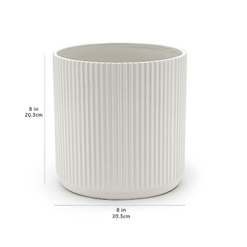 Amazon Basics Stylish 8-Inch Fluted Ceramic Planter
